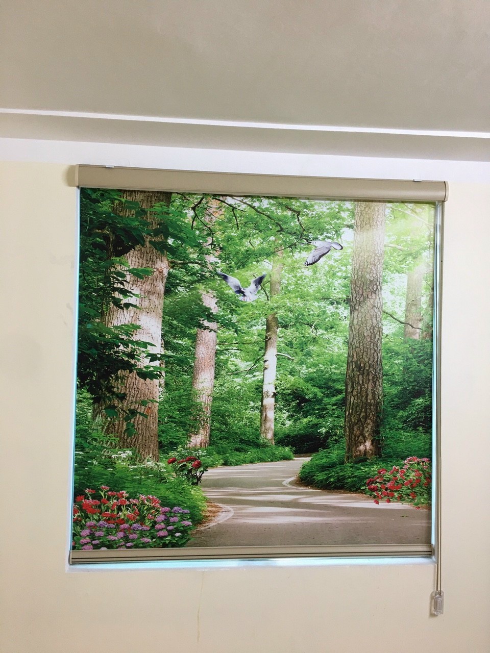 Rèm Cuốn In Tranh